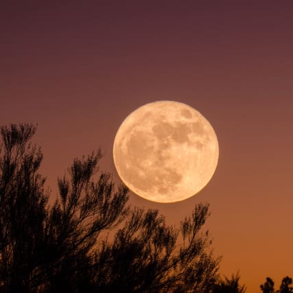 Horoskop vom 12. November 