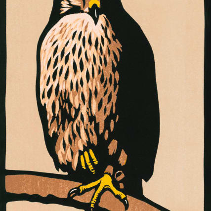 Die 20 besten Bücher des Jahres 2015