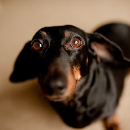 Ein innerer Konflikt um die Koketterie