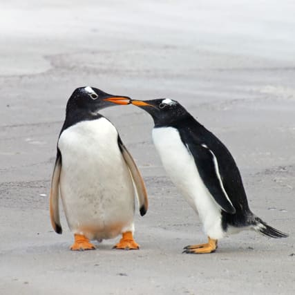 Hetero macht auch nicht froh