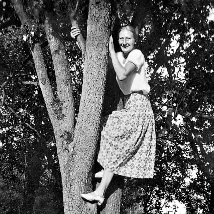 Wenn aus Amateurfotos eine Kunstsammlung wird