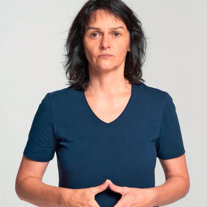 Politische Informationen in Gebärdensprache