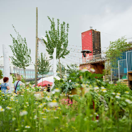Frau Gerold lädt zum Gartenkino ein