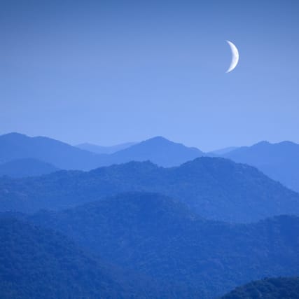 Neumond im Löwen: Noch einmal brüllen, dann loslassen