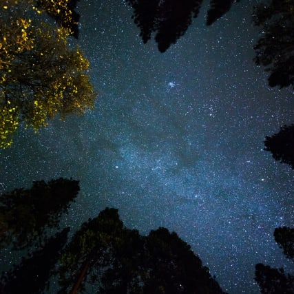 Horoskop vom 5. März