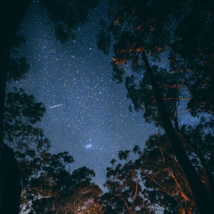 Horoskop vom 19. April