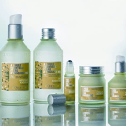 Gesichtspflege-News von L' Occitane - die tolle Angelica