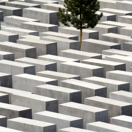 Yolocaust: Denkanstoss oder bloss Effekthascherei?