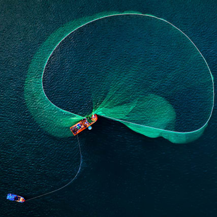 Worauf wir beim Fischessen achten sollten