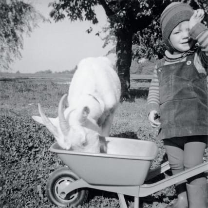 Mein Leben in Haustieren