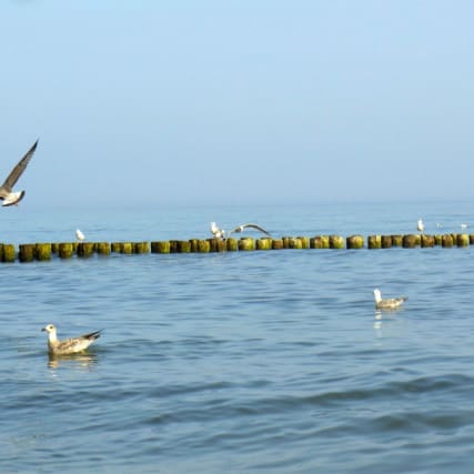 Müll-Deponie Meer: Fakten und Tipps zum übermässigen Plastik-Verbrauch