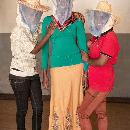 Äthiopien: Mit Honig gegen Armut