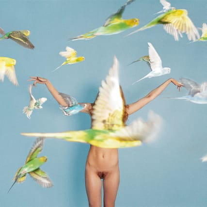 Der neue Bildband von Ryan McGinley: 
