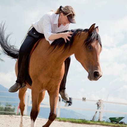 Kinder wie Pferde erziehen in San Jon