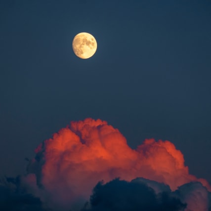 Vollmond im Krebs: Familie, Wurzeln und ein riesiges Loslassen