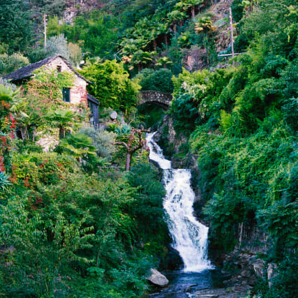 Famiglia nostrana: Geheimtipps fürs Tessin