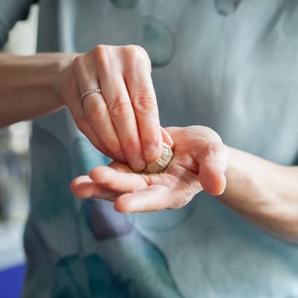 Zyklusregulation: Mit chinesischer Medizin für eine erfolgreiche Schwangerschaft