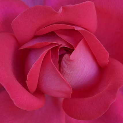 Der Kampf mit dem Krampf