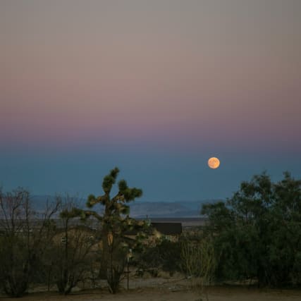 Vollmond in den Zwillingen 2024: Zuhören, pausieren, atmen