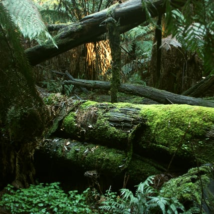 Wie ist es eigentlich ...