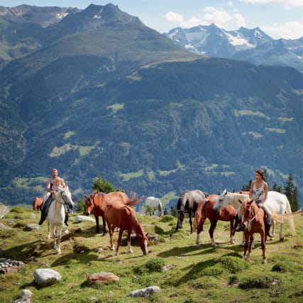 Wohnen auf dem Biohof