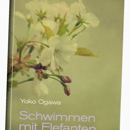 Buch-Tipp: Die Stimme in meinem Kopf