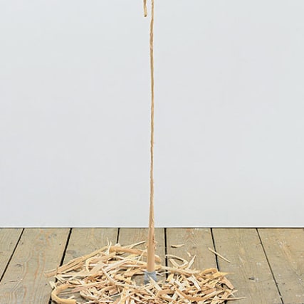 David Adamo: Kunstlaufen