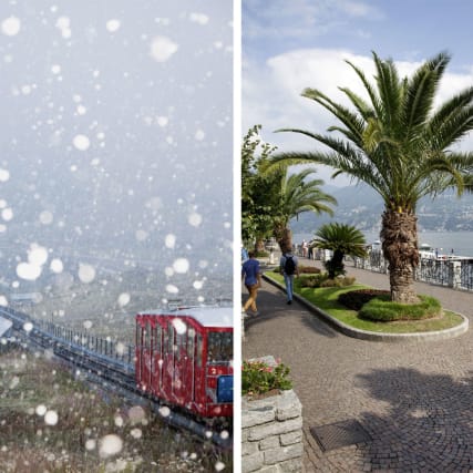 Mit dem Palm-Express vom Engadin ins Tessin