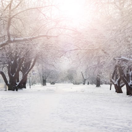 8 Dinge, die wir draussen unternehmen können