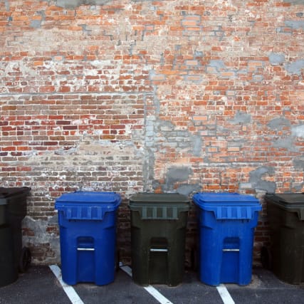 So vermeiden Sie Müll