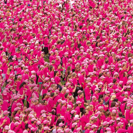 Pink Ribbon Charity Walk: Laufen Sie im Team annabelle 