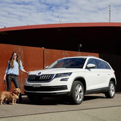 Déja-vu im Grossformat