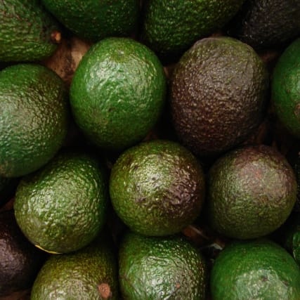 Plüss' Punkte - Unnützes Wissen