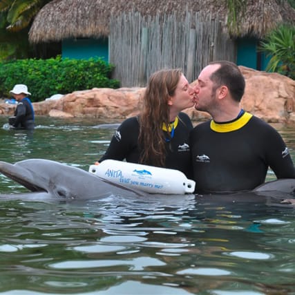 Schönes Versprechen 