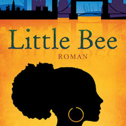 Chris Cleave - Löwinnenmut