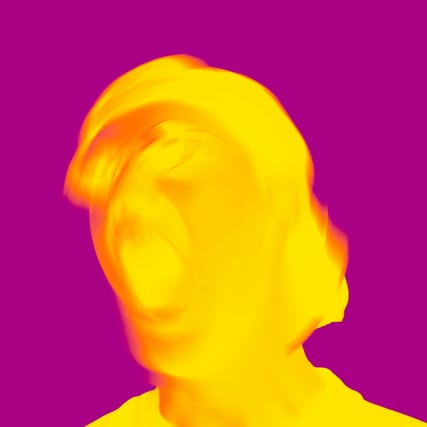 Ein Jahr Trump: So lebe ich als Schweizerin in den USA