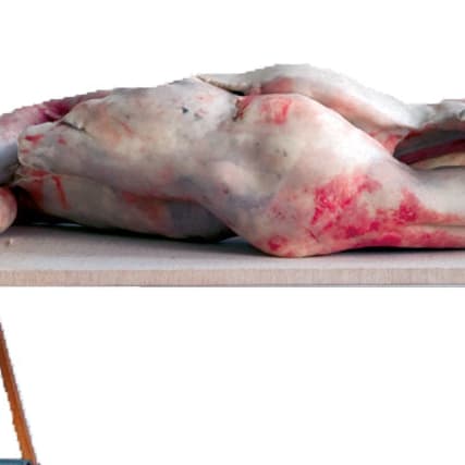 Berlinde de Bruyckere - Die Hölle in Bern