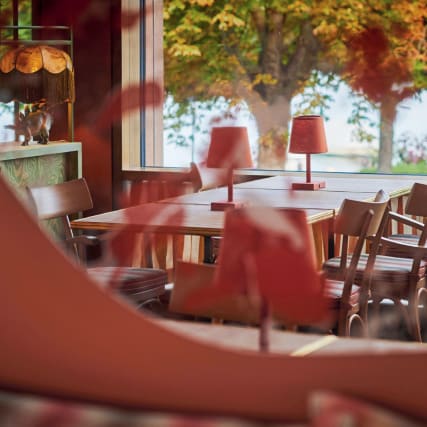 Die Lokale des Monats