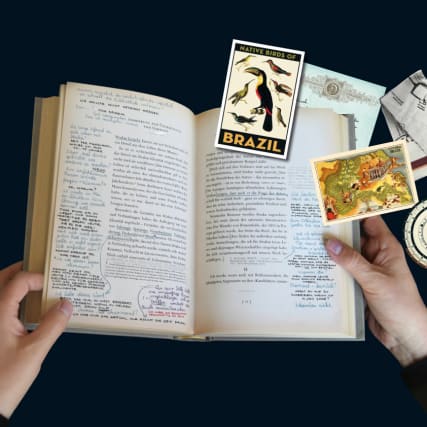 Das Schiff des Theseus