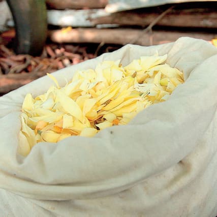 Chanel - Ein indisches Märchen