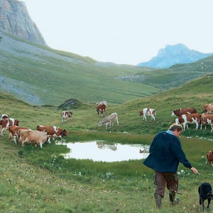 Coeur animal - Das Tier in mir