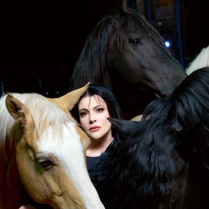 Liebe Géraldine Knie