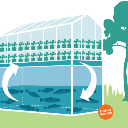 Urban Farmers: Essen vom Dach