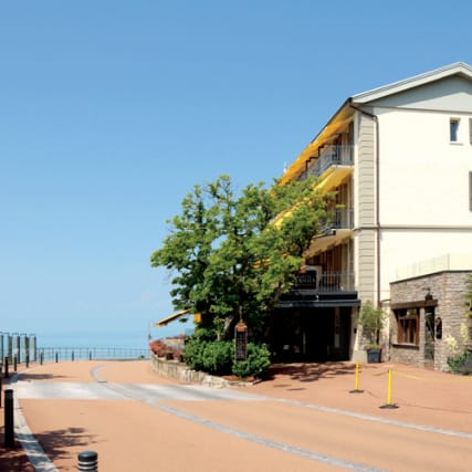 Marcel Duchamps: Dada du Lac Léman