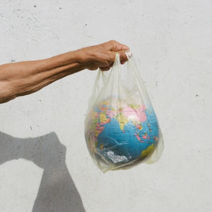 Interview zum Klimatag: 