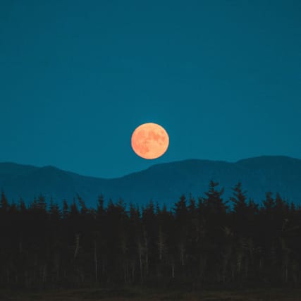 Vollmond in den Zwillingen: berühmte letzte Worte