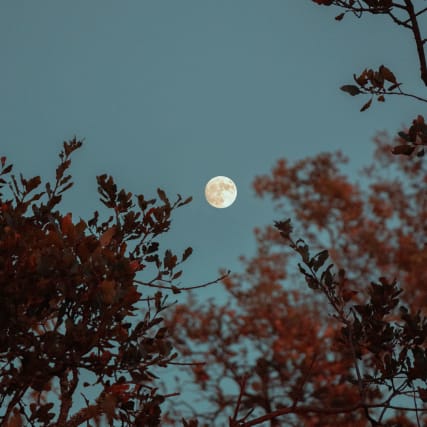 Vollmond im Steinbock: Auf zu neuen Ufern