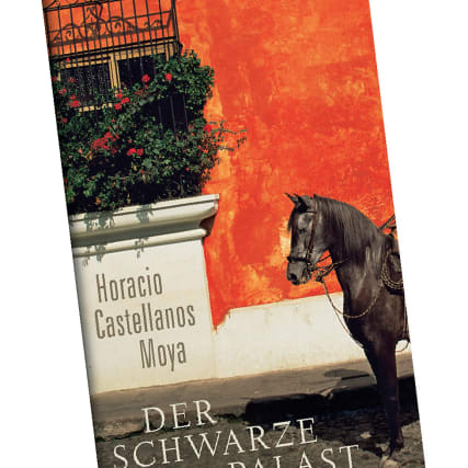 Horacio Castellanos Moya: Leben in der Diktatur