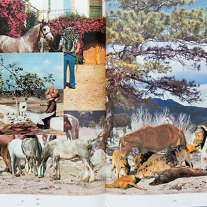 Huber.Huber - Basteln mit den Hubers