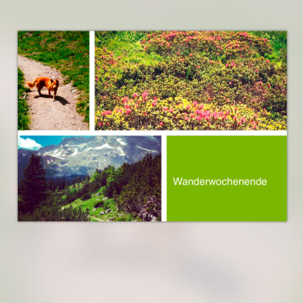 Ifolor: App der Woche